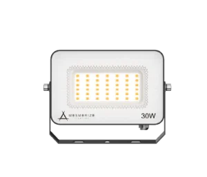 Mesmerize Prime Floodlight 30W LED ML-PRM-30W-6K