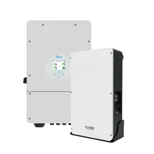 Hyena Kit x1 20KW Deye LV Inverter + x1 10.24KWH Dyness Powerbox Battery